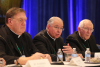 20191112T1322-0911-CNS-BISHOPS-OFFICERS-COMMITTEES.jpg